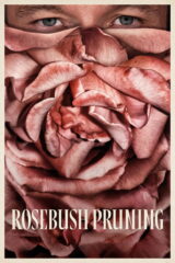 Image Rosebush Pruning