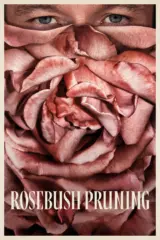 Image Rosebush Pruning